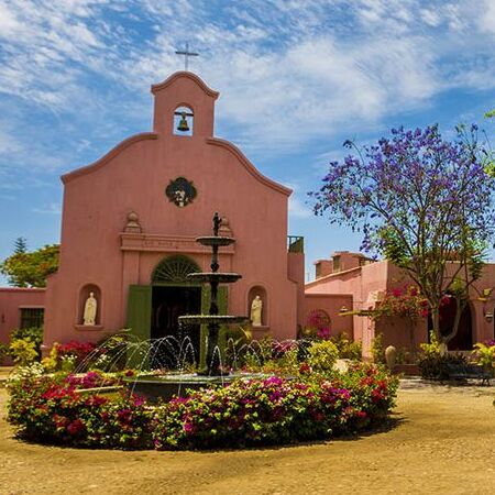 dos-gardenias-tours-Viñedos y Bodegas