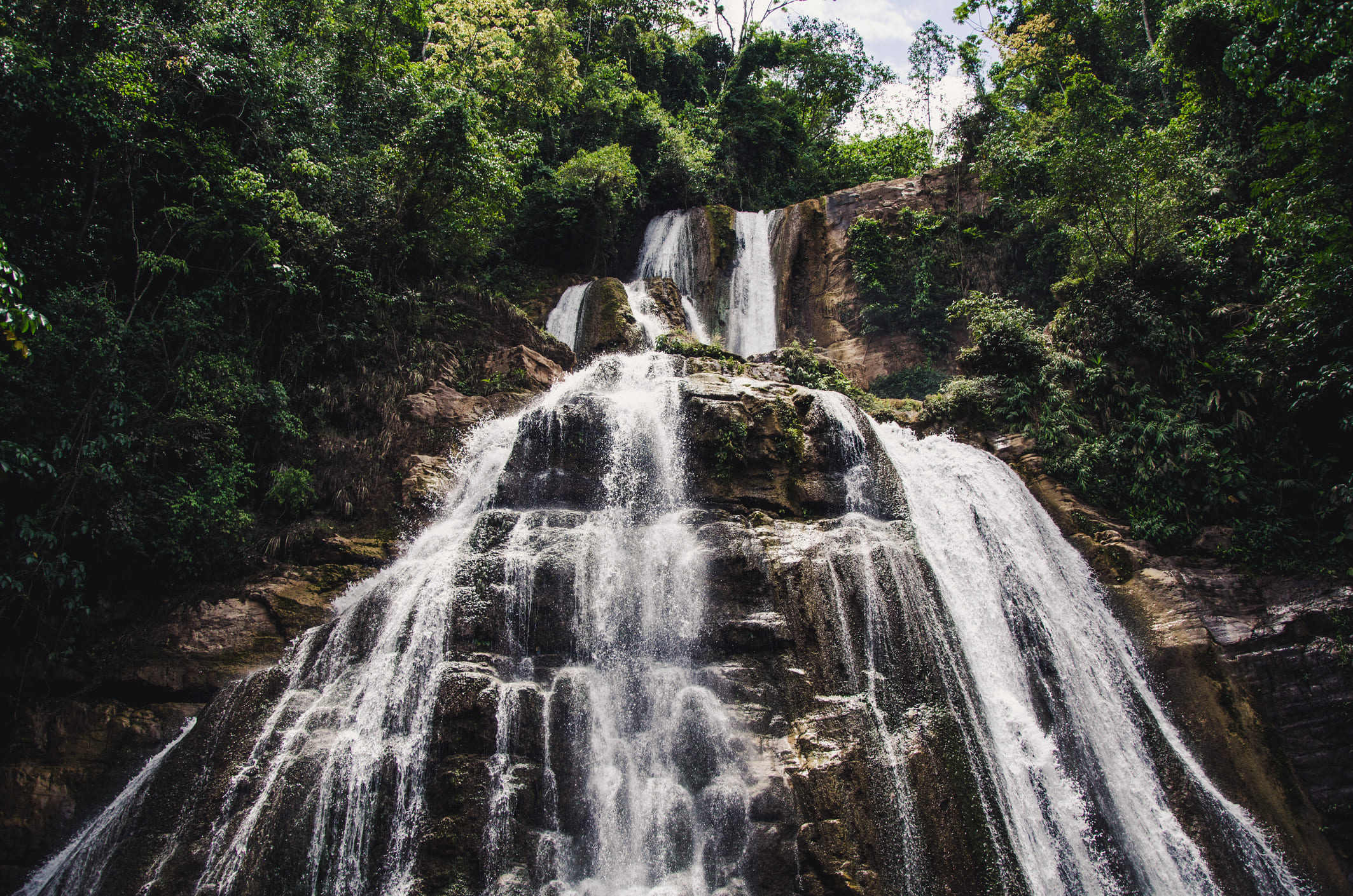 dos-gardenias-tours-descubre-Selva Central